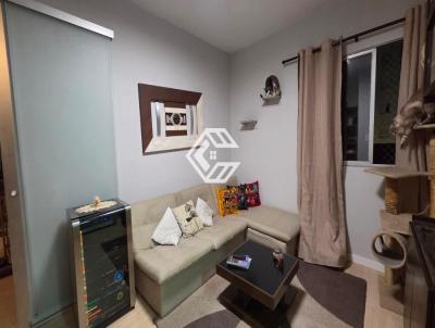 imagem-miniatura